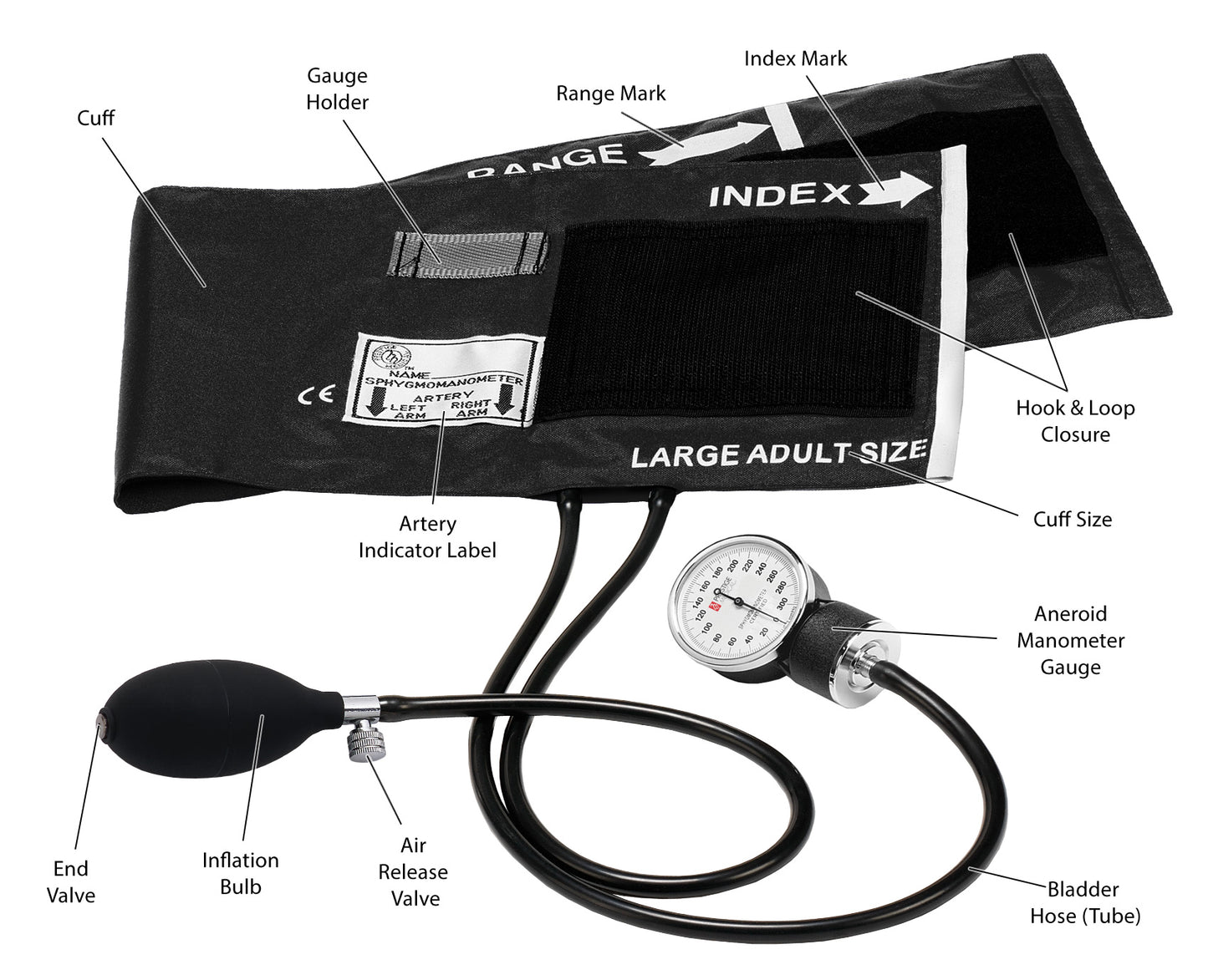 Basic Adult Aneroid Sphygmomanometer(Large Adult Cuff)